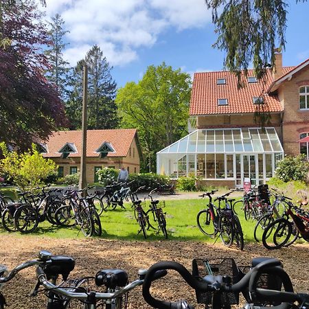 Hotel Schloesschen Sundische Wiese Zingst Extérieur photo