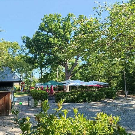 Hotel Schloesschen Sundische Wiese Zingst Extérieur photo