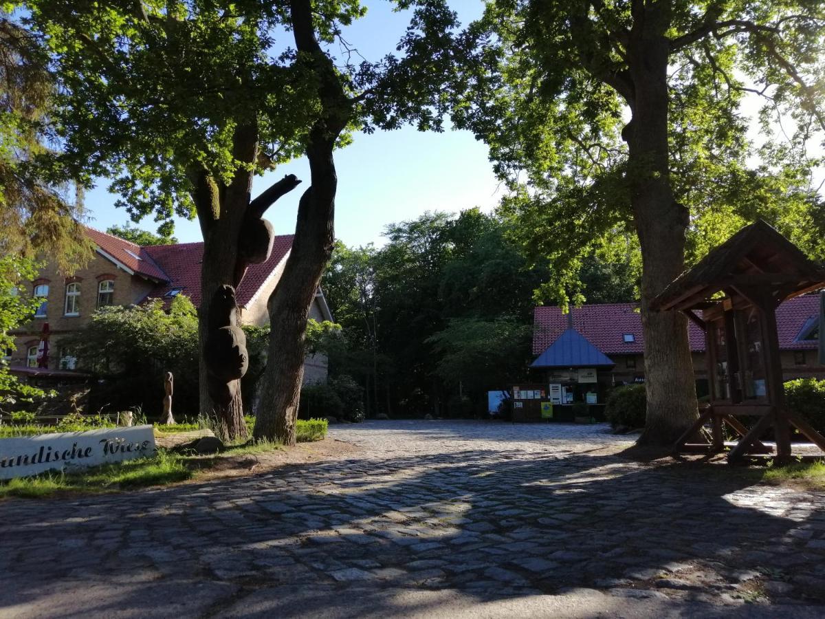 Hotel Schloesschen Sundische Wiese Zingst Extérieur photo