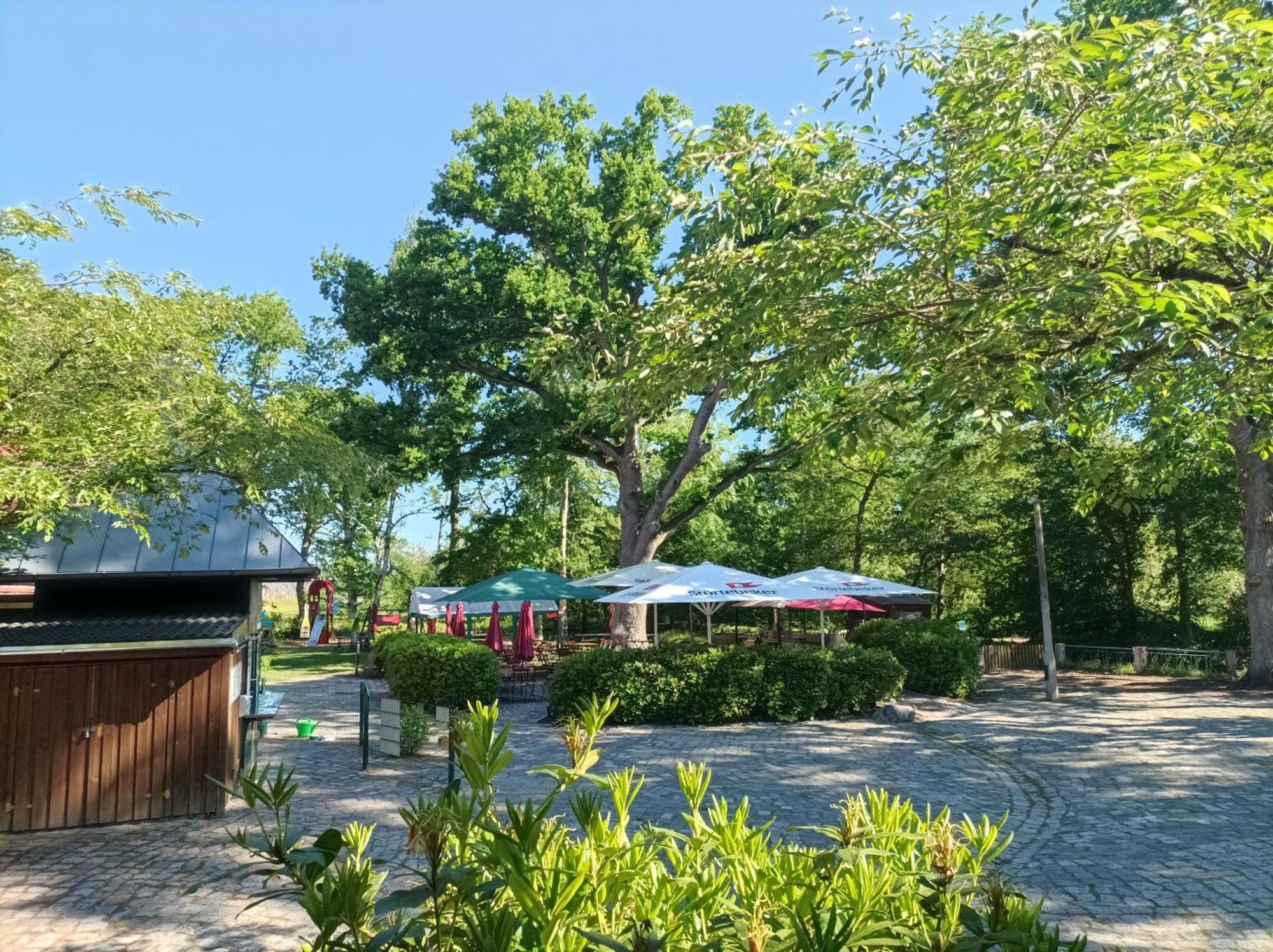 Hotel Schloesschen Sundische Wiese Zingst Extérieur photo