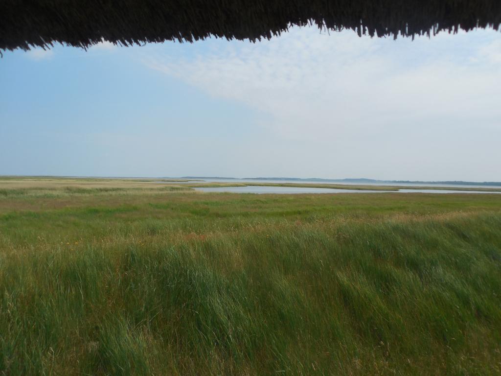 Hotel Schloesschen Sundische Wiese Zingst Extérieur photo